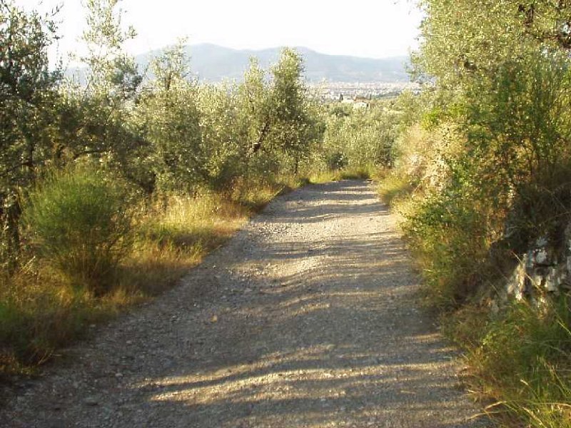 E48 Strada Scandicci.JPG - TRADA STERRATA DI RITORNO VERSO SCANDICCI